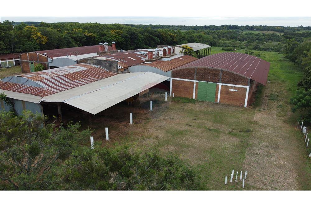 Depósito - Alquiler - Paraguay Caaguazú Coronel Oviedo — foto 2