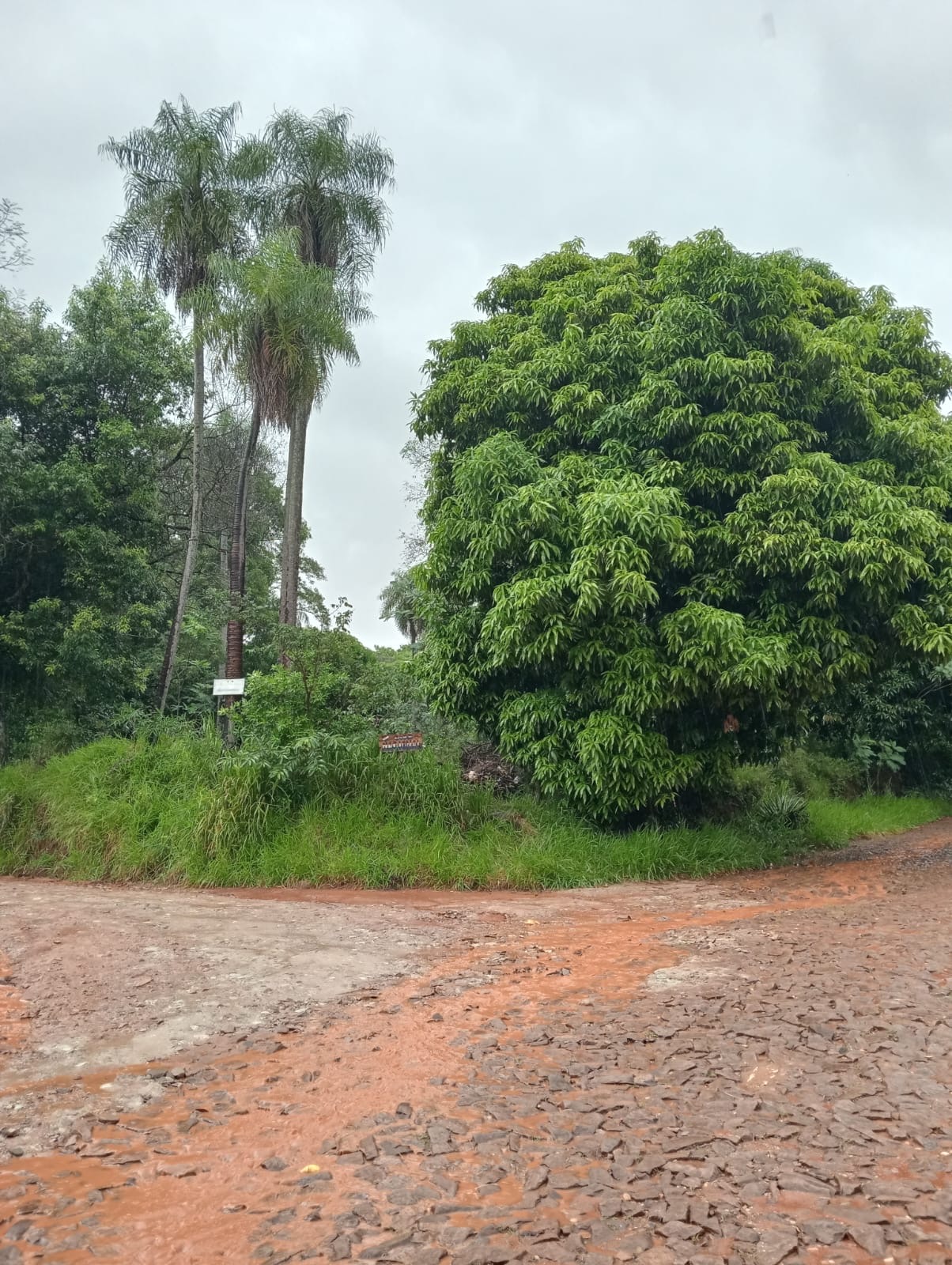 En venta propiedad de 3 hectáreas y media en atyra — foto 3