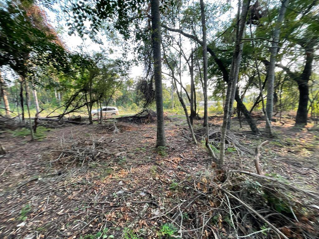 VENDO 5 TERRENOS EN LA URBANIZACION CIERVOS KUA — foto 2