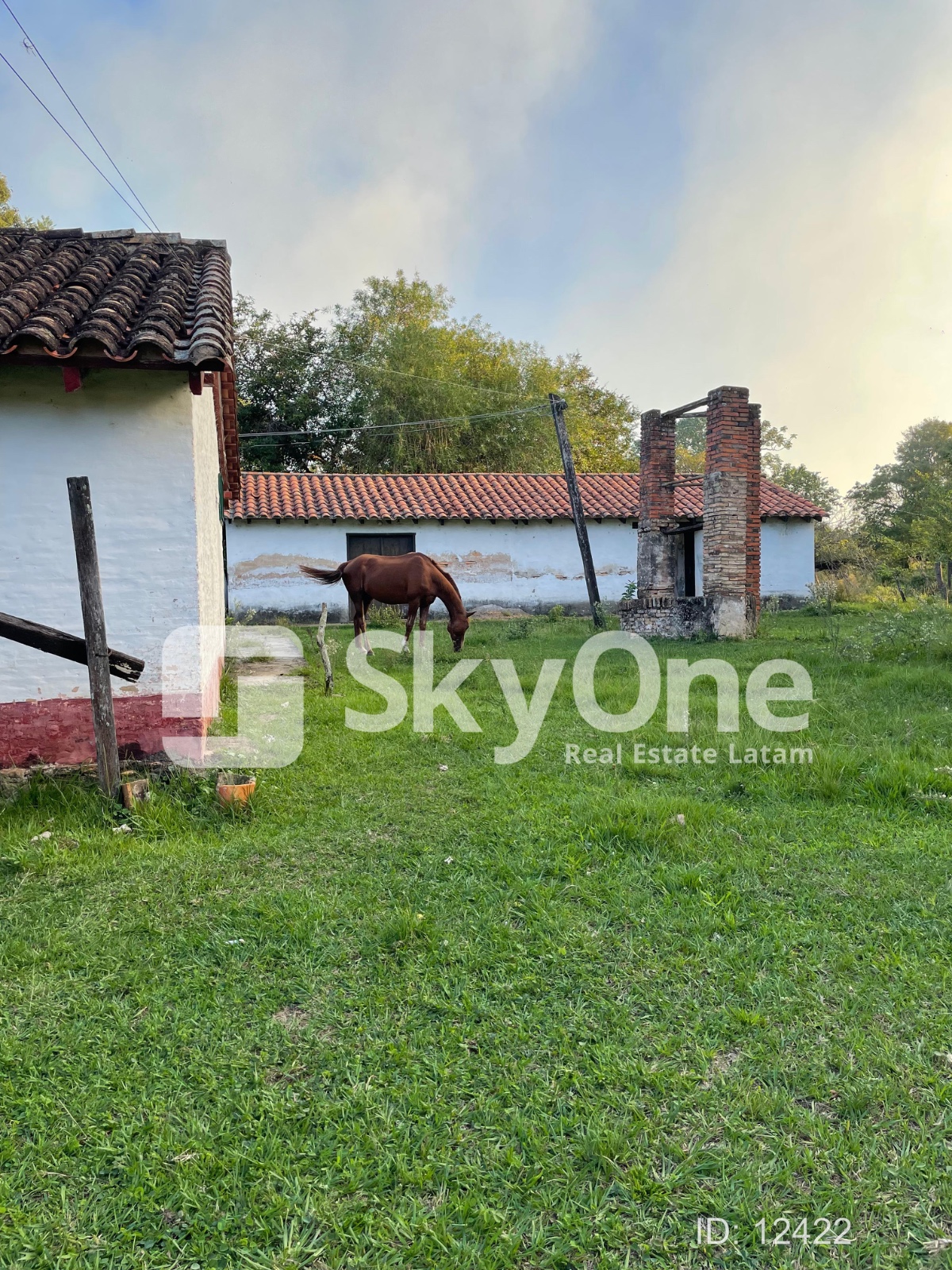 VENDO ESTANCIA EN MISIONES — foto 2