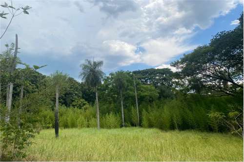 Terreno-venta-ciervo Cuá, Barrio Cerro Pyta, San Bernardino, Cordillera — foto 2