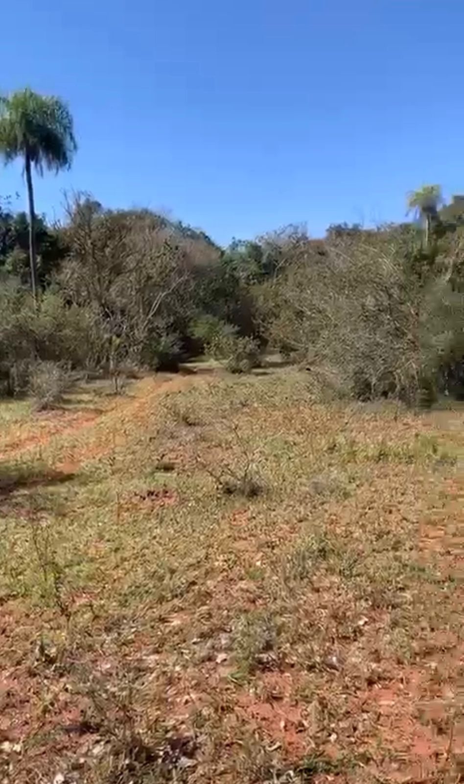 PIRIBEBUY, RUTA GRAL. ROGELIO BENÍTEZ, EN VENTA LOTE DE 4.969 M2 — foto 2