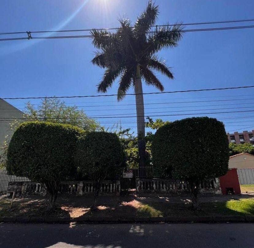 Terreno 809 m² Mbocayaty | AR2-A 15m frente · Vista verde — foto 2