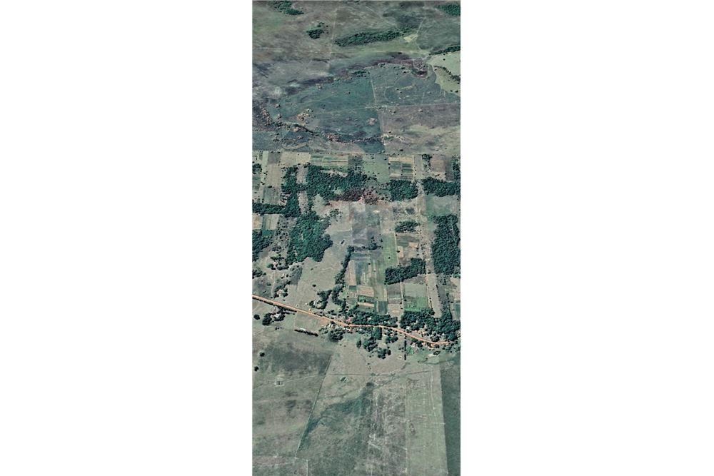 En venta campo de 300 hectáreas en Cordillera — foto 2