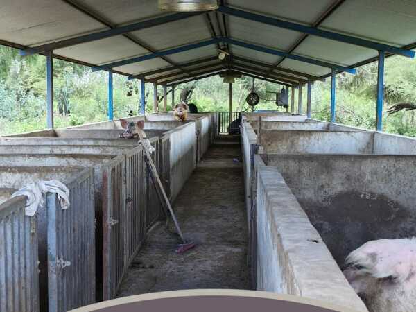 VENDO ESTANCIA FORMADA SOBRE LA RUTA BIOCEANICA DE 9538 HECTAREAS — foto 2