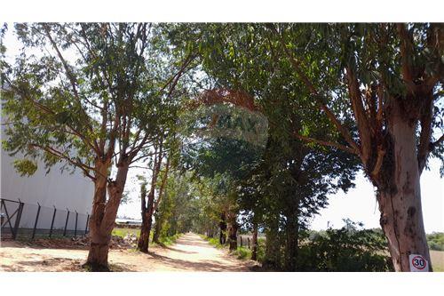Terreno - Venta - Paraguay Cordillera San Bernardino — foto 2