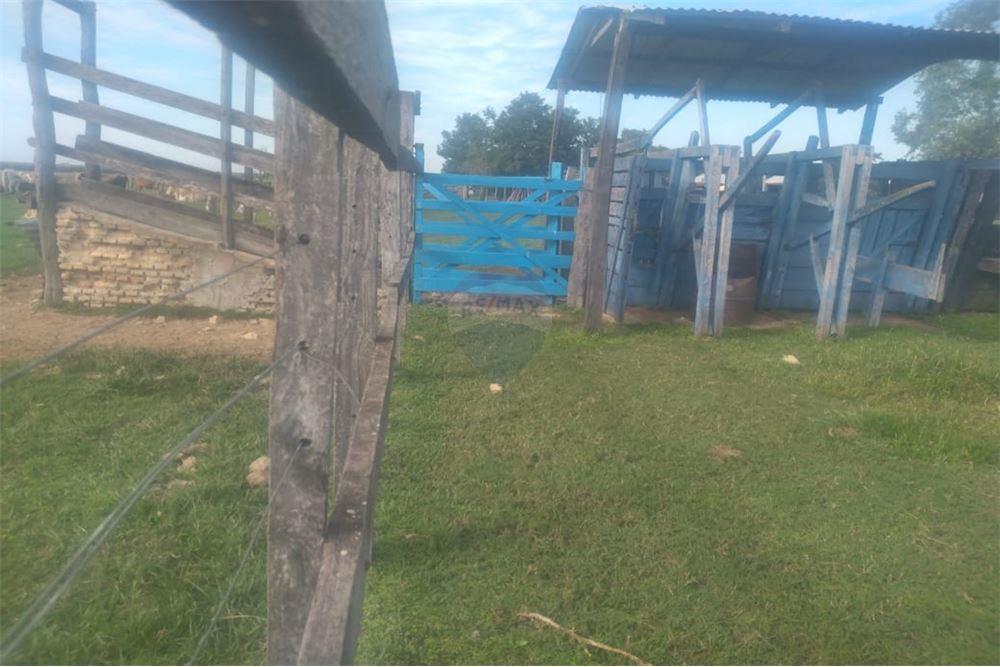 Campo Ideal Para Engorde De Ganado en Caapucú — foto 3