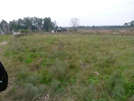 Terreno Zonamerica 3 Hectareras