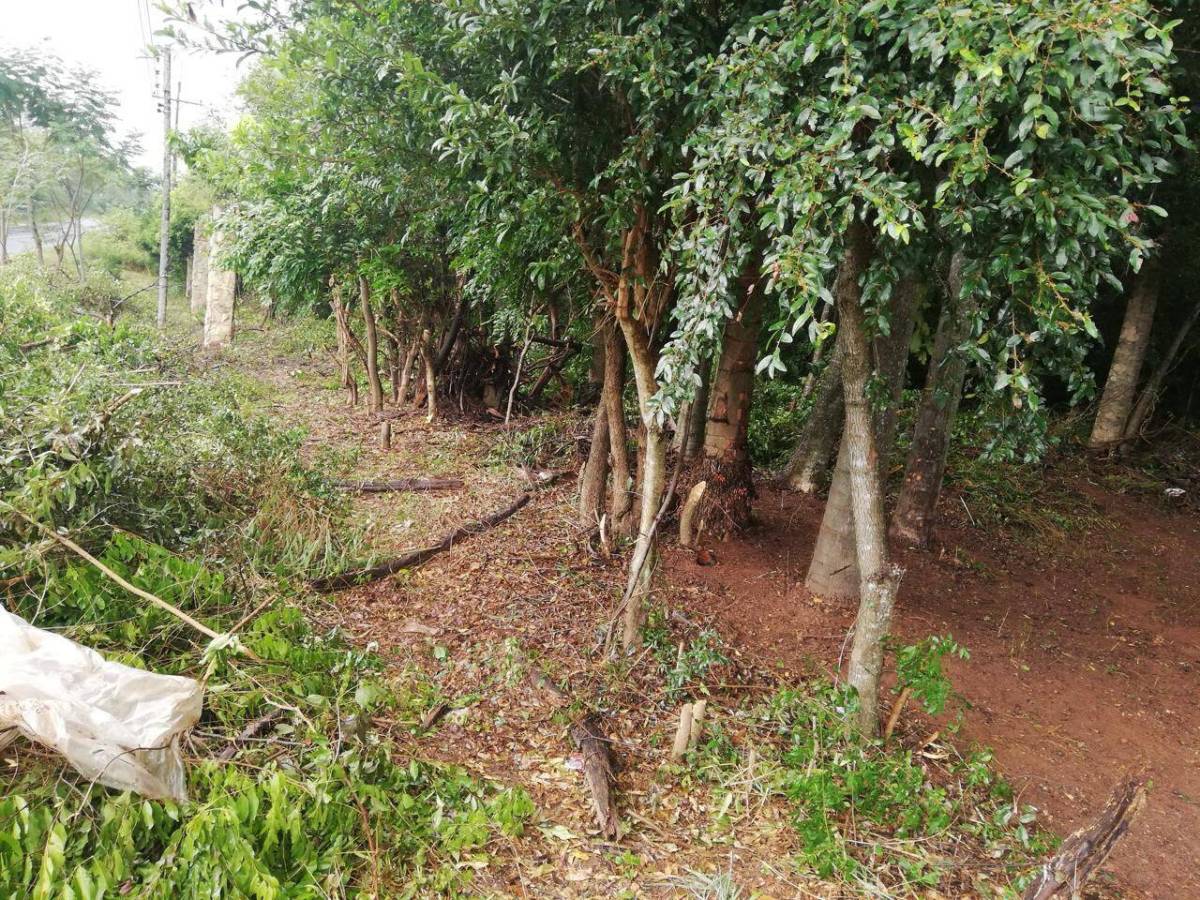 EN VENTA – HERMOSO TERRENO EN RUTA EMBOSCADA — foto 2
