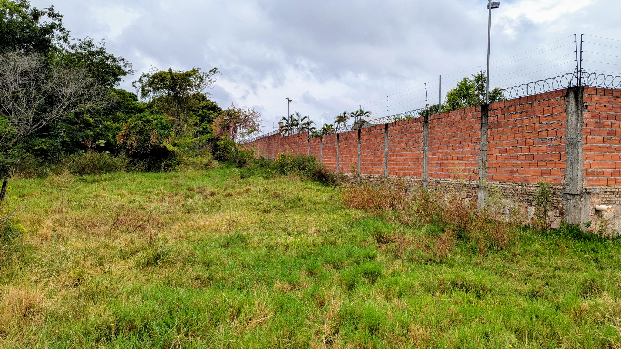 VENDO TERRENO EN MORA KUE - LUQUE — foto 2
