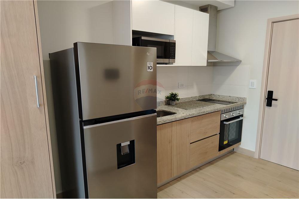 Alquilo Monoambiente Amoblado. Matrisa Boggiani. Villa Morra — foto 3