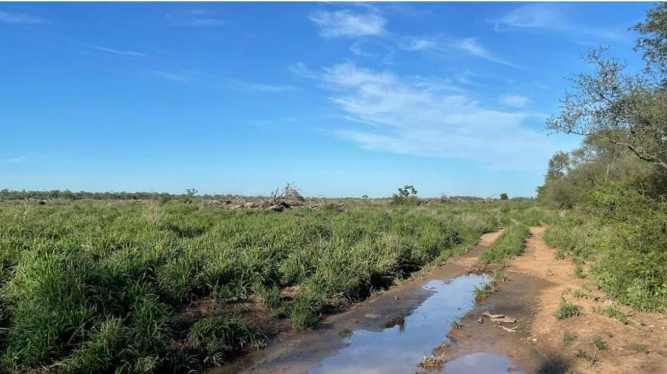 Vendo Establecimiento Agroganadero de 14.016 Hectáreas en Boquerón - CLCS7607611 — foto 2