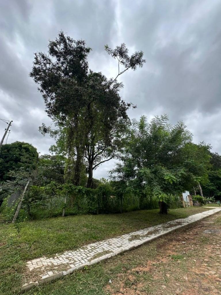VENTA DE TERRENO EN SAN BERNARDINO — foto 2
