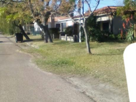 Próximo A Avenida Ferreira Y A Metros Del Mar