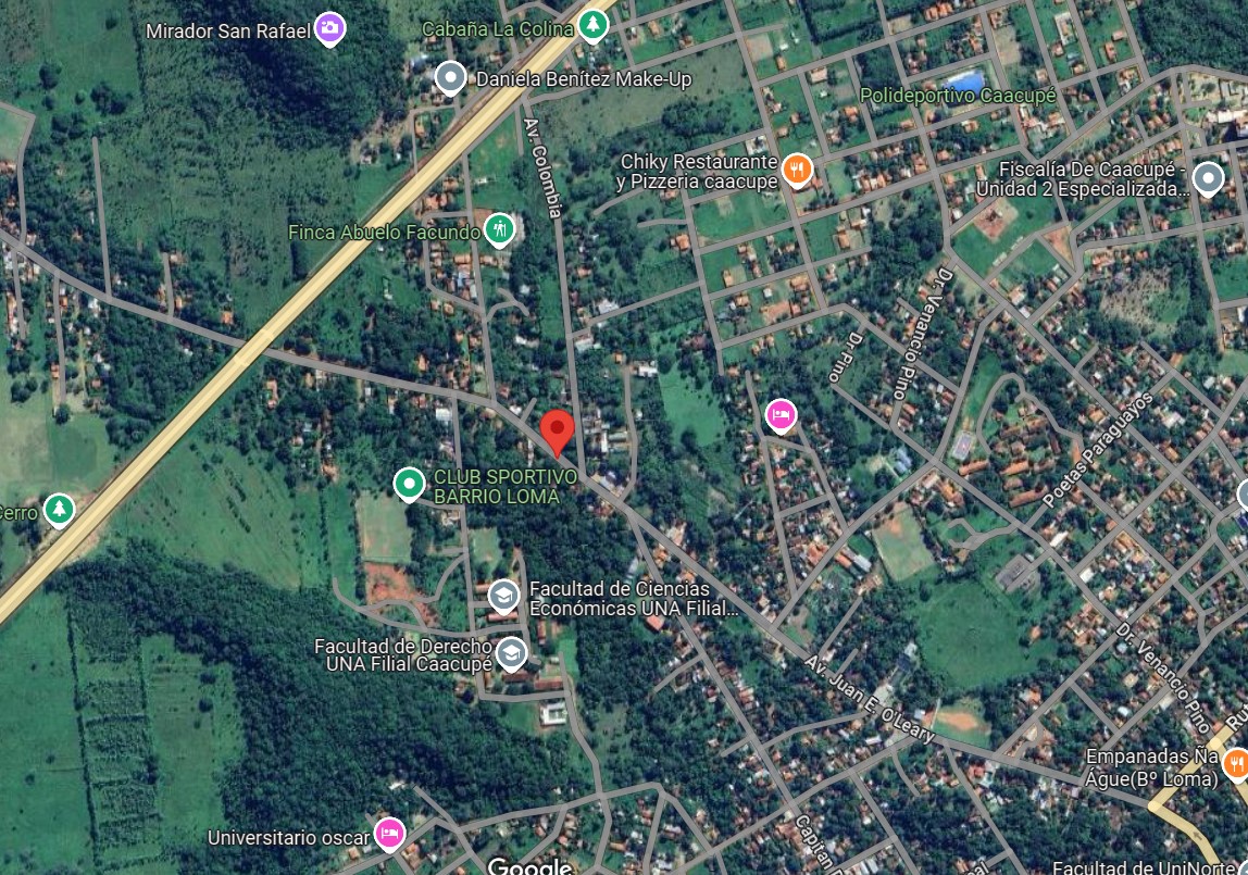 TERRENO EN VENTA SOBRE RUTA CABAÑAS-CAACUPÉ — foto 2