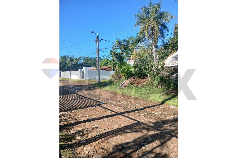 VENDO TERRENO EN SAN BERNRDINO 2500 M2 — foto 3
