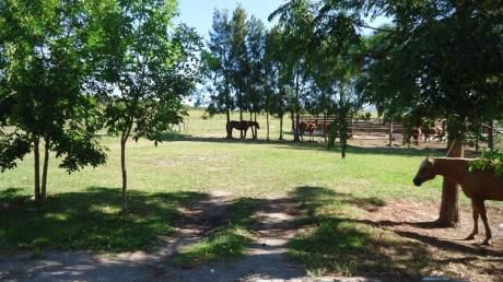 Chacra En Venta En Lavalleja