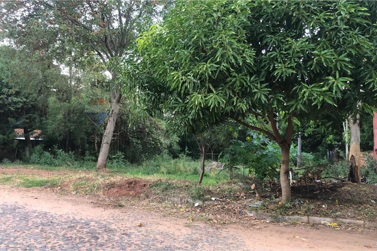 Terreno - Venta - San Lorenzo - Virgen del Rosario — foto 3