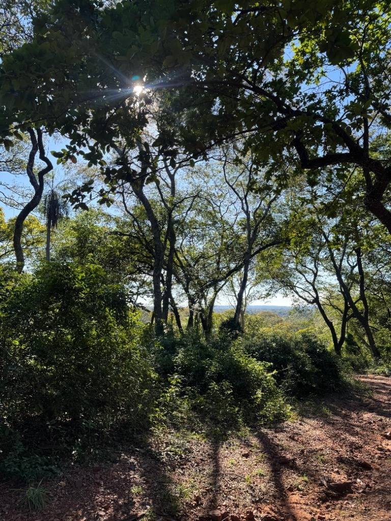 Oportunidad Única en Bosques de Hermann- Areguá — foto 3