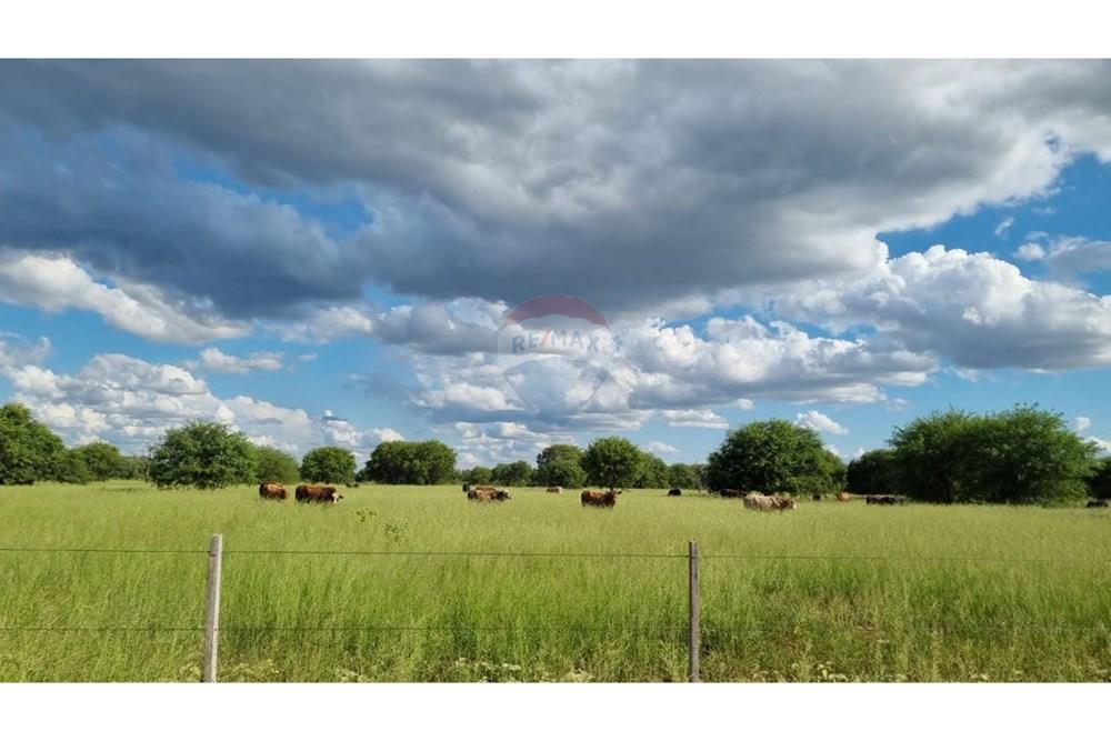 Vendo Terreno de 3.765 Hectáreas en Fuerte Olimpo, Alto Paraguay — foto 3