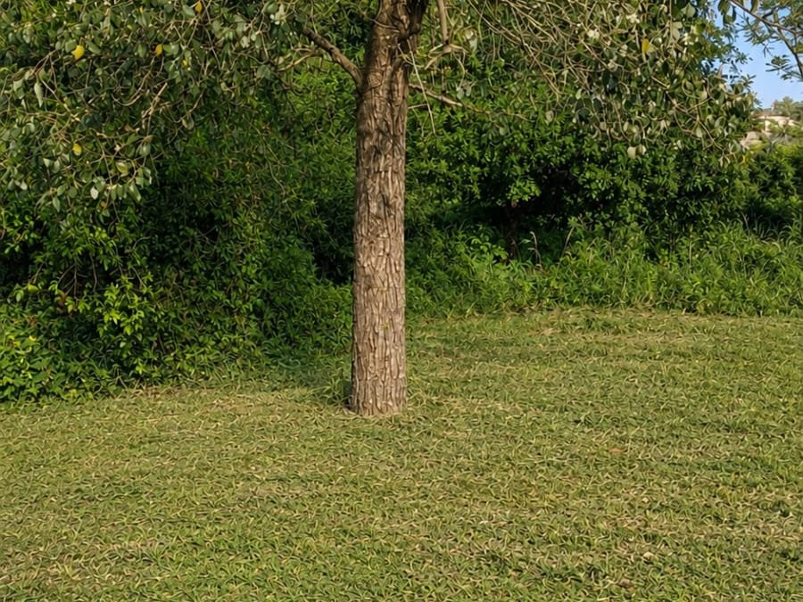 VENDO TERRENO EN BELLA VISTA NORTE- FRONTERA C/ BRASIL — foto 3
