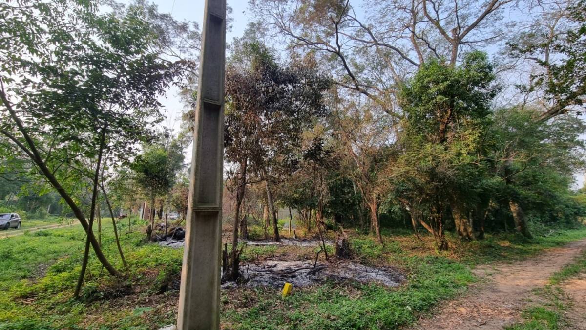 VENDO TERRENOS EN CIERVO CUA SAN BERNARDINO — foto 3