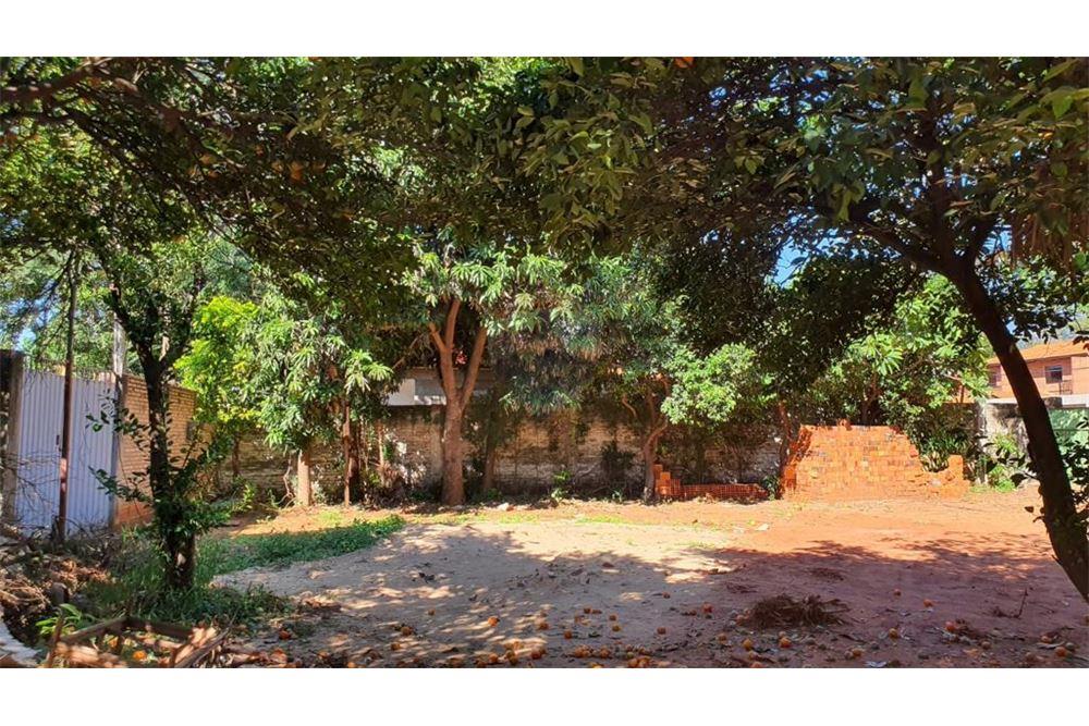 VENDO AMPLIO TERRENO EN SAN LORENZO!! — foto 2
