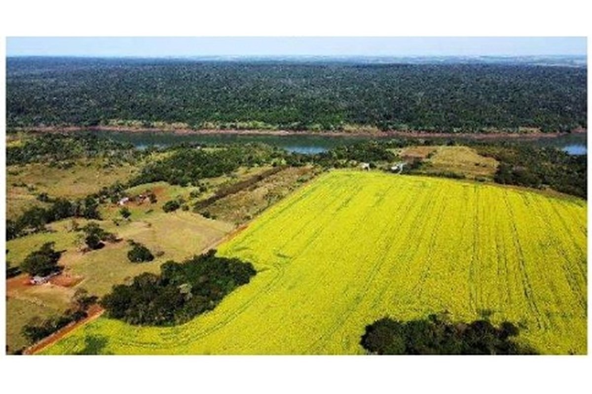 Vendo Imponente Terreno en Presidente Franco, Paraguay — foto 2
