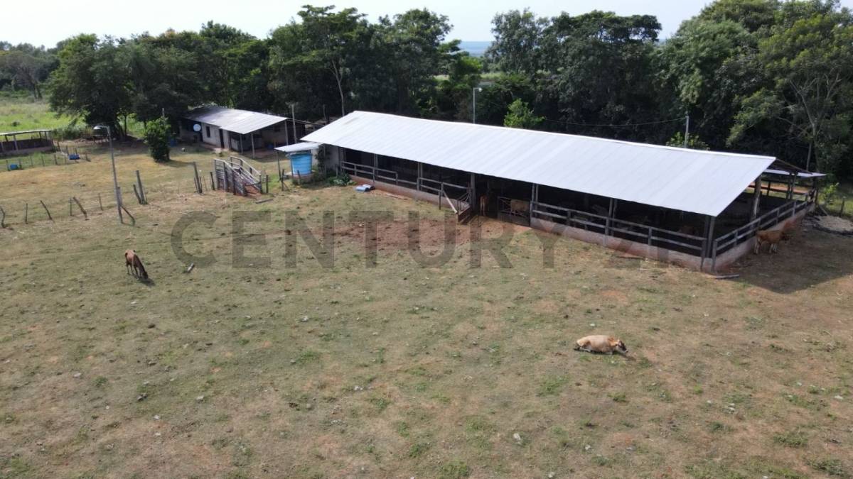 GRANJA PRODUCTIVA EN VENTA – 8 HECTÁREAS EN NUEVA ITALIA — foto 2
