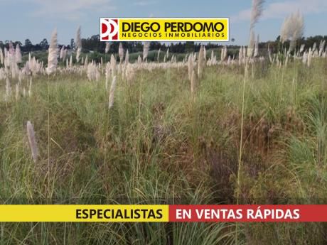 Chacra De 31.950 M² En Venta, Montevideo