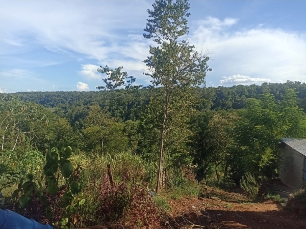 Vendo en Alto Parana 14 propiedades — foto 2