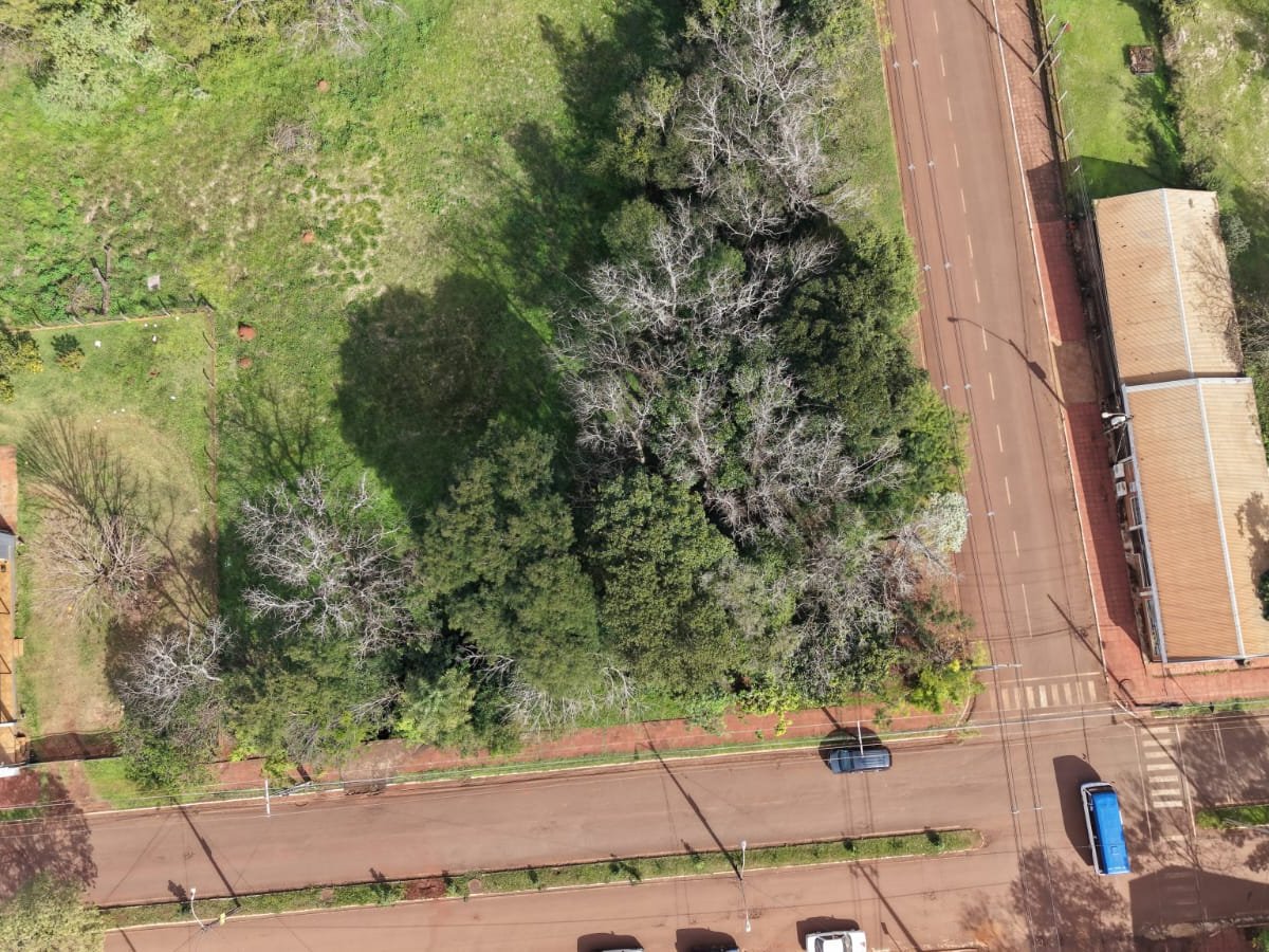EN VENTA – TERRENO EN ESQUINA SOBRE AVDA. LOS FUNDADORES, HOHENAU — foto 3