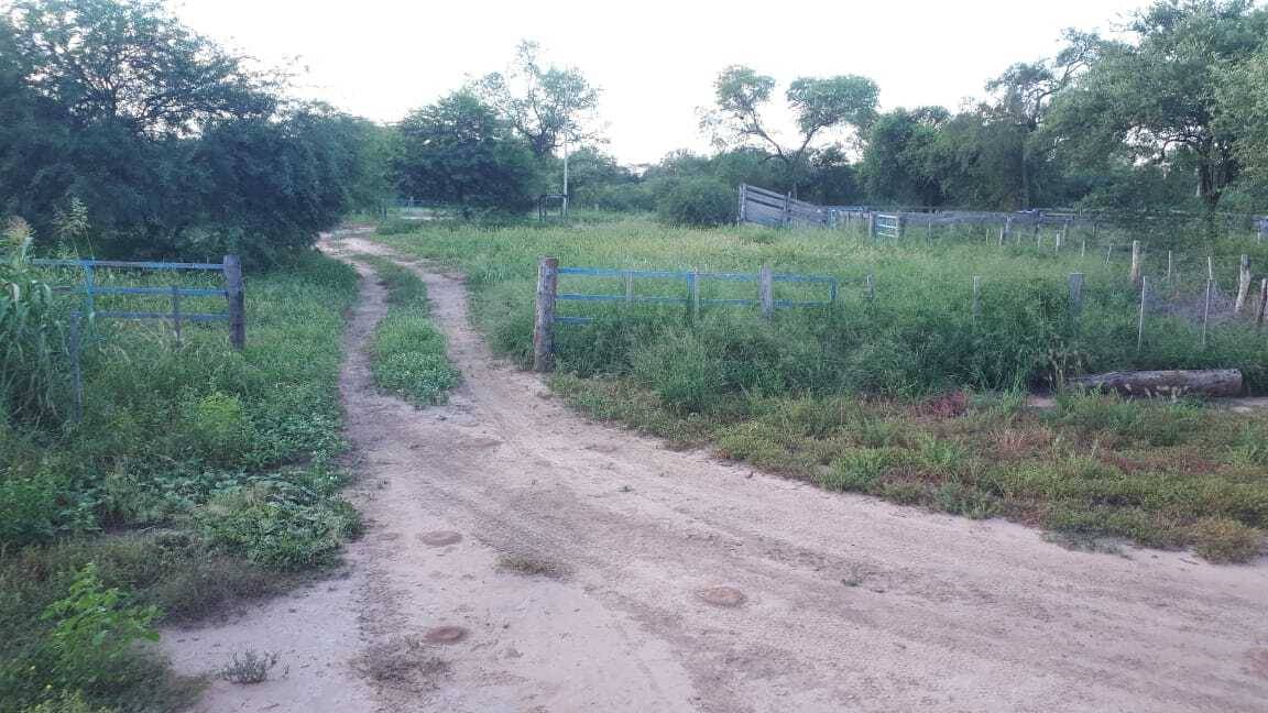 VENTA - Campo desarrollado 52 ha con pastura y mejoras - Neuland, Boquerón — foto 3