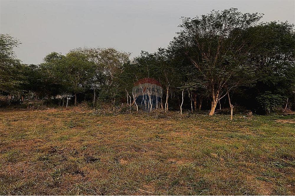 TERRENO CON 1 HECTAREA - LUQUE PARAGUAY — foto 2