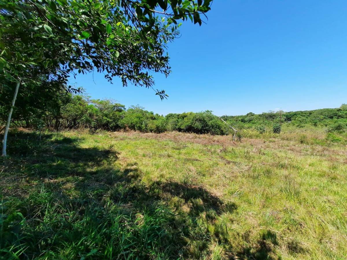 VENTO TERRENO CON ARROYO EN ALTOS — foto 3