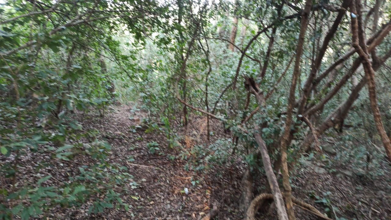 Vendo Terreno en San Bernardino | 14.362 m² | Ideal para Desarrollo — foto 3