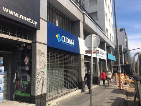 Excelente Local Comercial - Campiglia