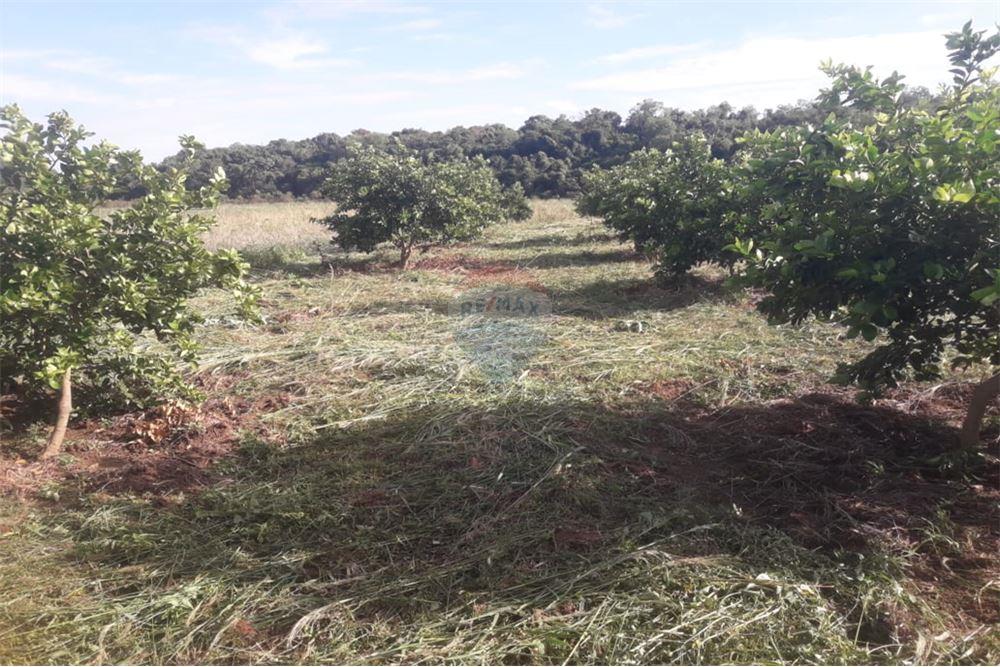 Vento Campo de 87 has en San Juan Nepomuceno — foto 2