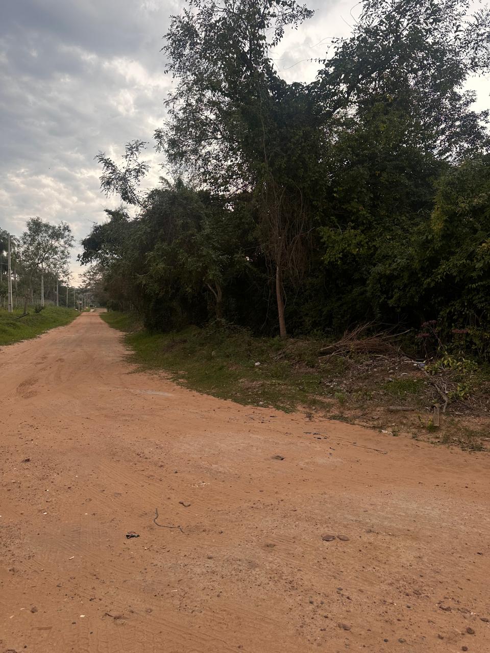 Venta Gran Terreno En Sanber - Ciervo Cua — foto 3