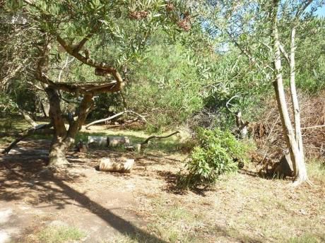 Terreno En Barrio Country T0380