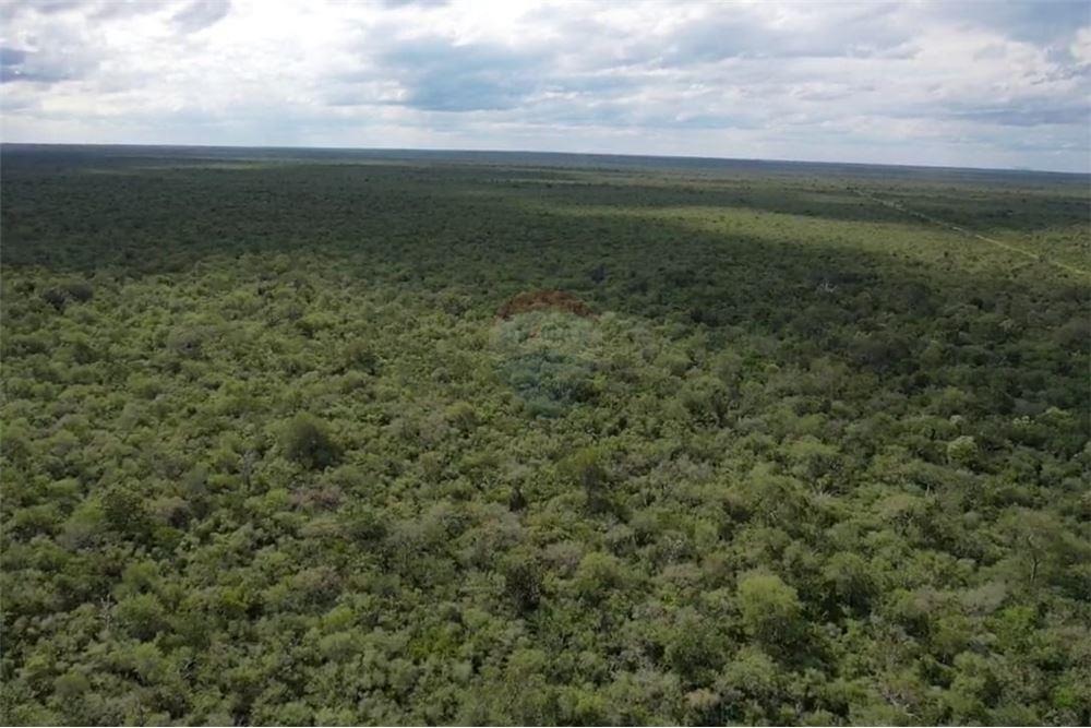 VENDO CAMPO EN BAHIA NEGRA ZONA LAGERENZA CHACO — foto 3