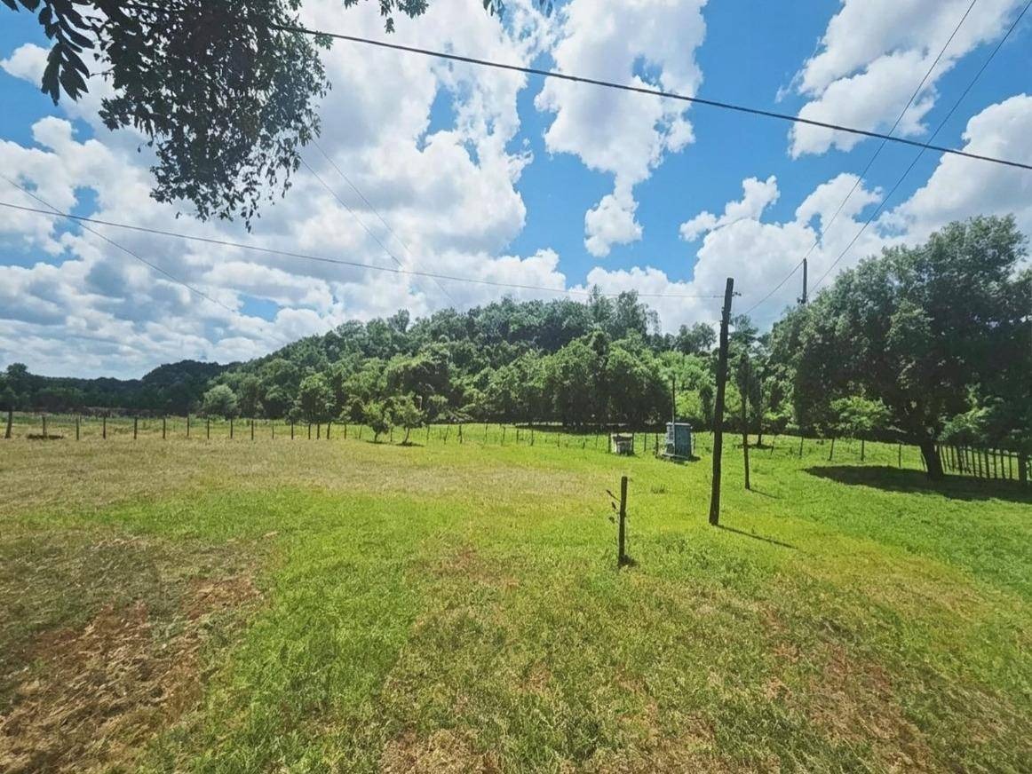 Vendo estancia en paraguari caapucu — foto 3