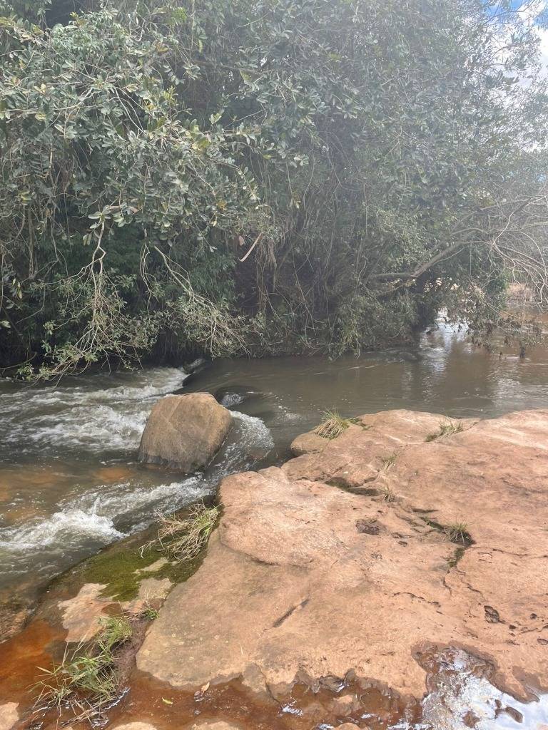 EN VENTA 40 HECTAREAS EN YBYCUI — foto 2