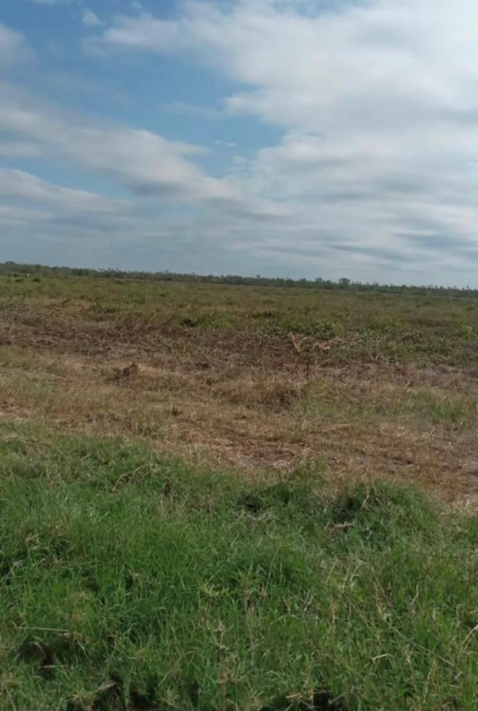 Vendo Estancia de 4.060 Hectáreas, en Fuerte Olimpo. Alto Paraguay - CLCS4761355 — foto 2
