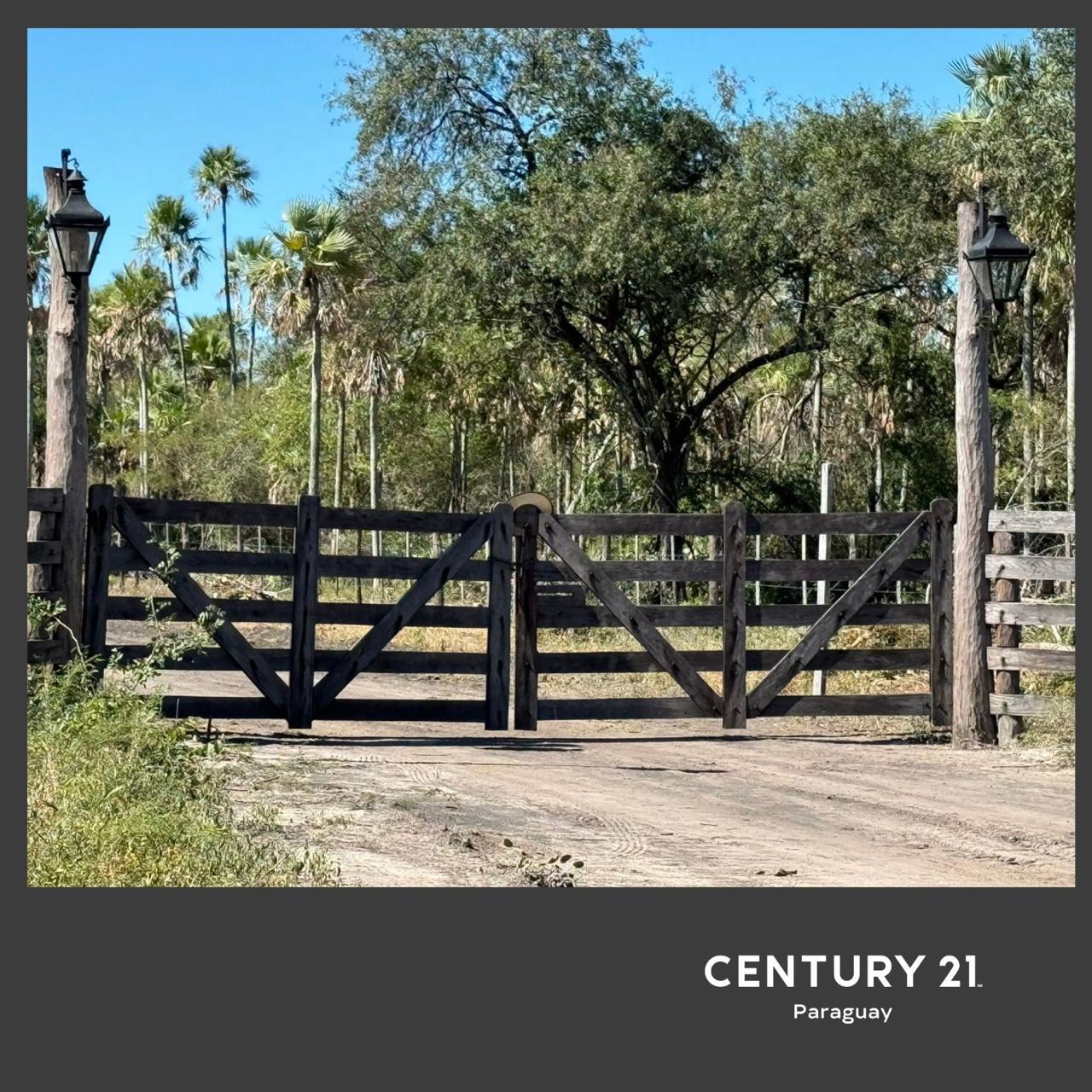 VENTA DE ESTANCIA DE 7.686 HECTÁREAS – FUERTE OLIMPO — foto 2