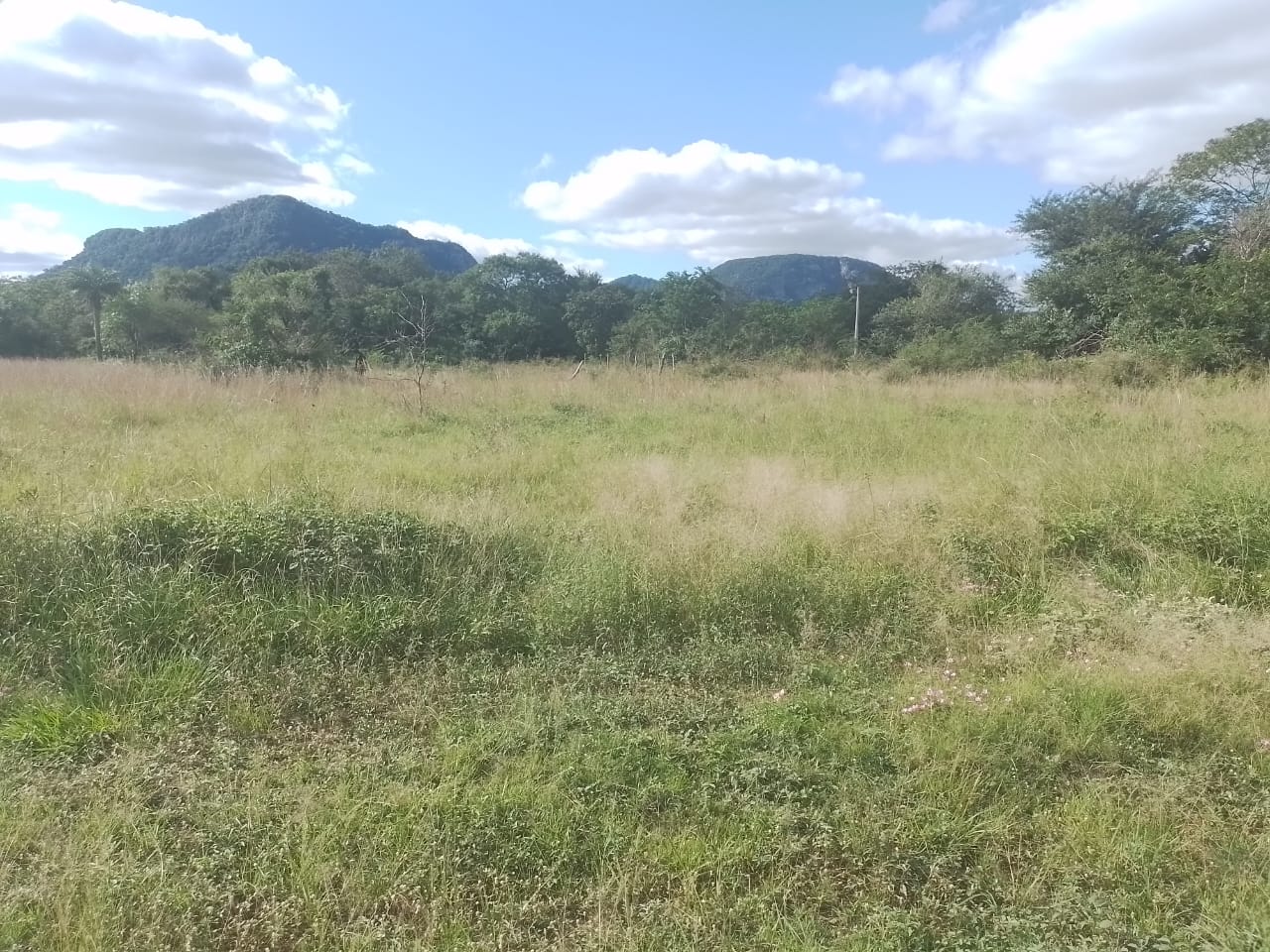 EN VENTA HERMOSO TERRENO — foto 2