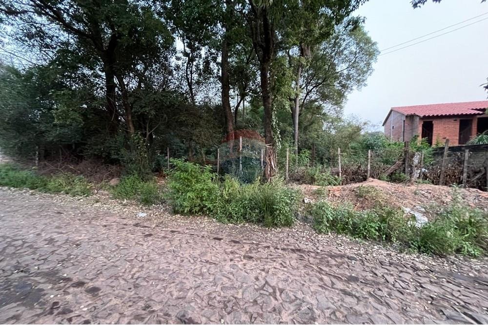 Terreno Ideal en Luque — foto 2
