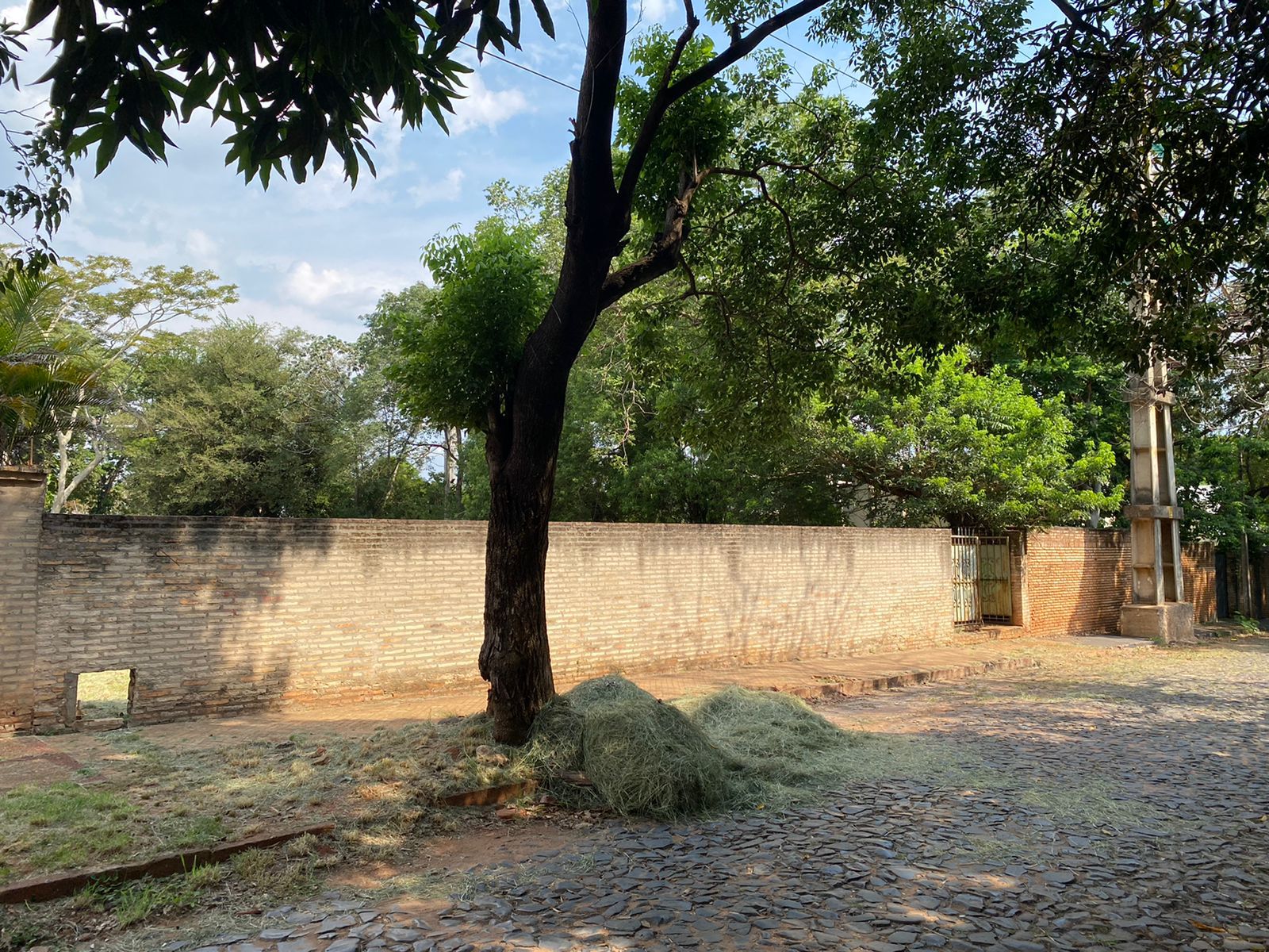 VENDO AMPLIO TERRENO EN ZONA RESIDENCIAL DEL BARRIO SAN CRISTOBAL — foto 3