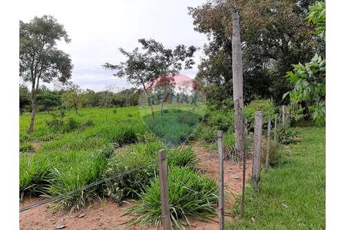 Estancia/Campo - Venta - Paraguay Cordillera Altos — foto 3