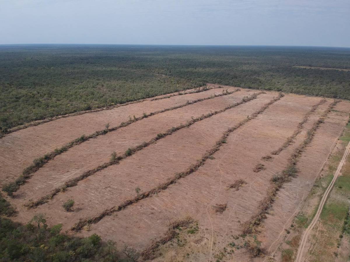 VENDO CAMPO M F E BOQUERON — foto 2